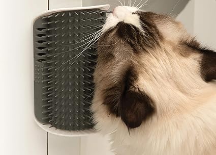 Brosse Auto toiletteur pour chat